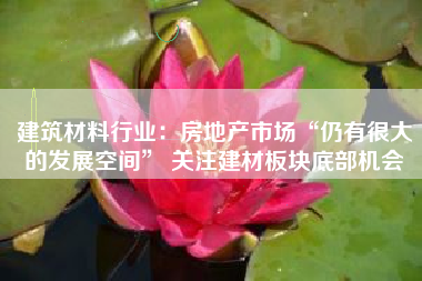 建筑材料行业：房地产市场“仍有很大的发展空间” 关注建材板块底部机会