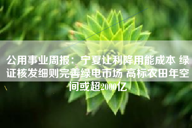 公用事业周报：宁夏让利降用能成本 绿证核发细则完善绿电市场 高标农田年空间或超2000亿