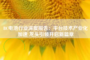 BC电池行业深度报告：平台技术产业化加速 龙头引领开启新篇章
