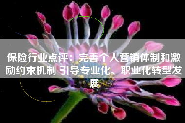 保险行业点评：完善个人营销体制和激励约束机制 引导专业化、职业化转型发展