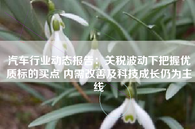 汽车行业动态报告：关税波动下把握优质标的买点 内需改善及科技成长仍为主线
