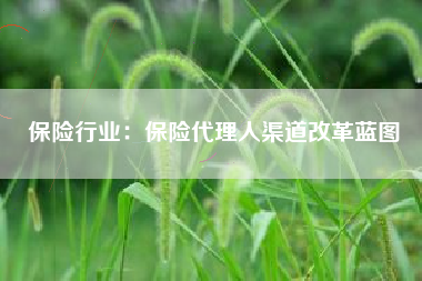 保险行业：保险代理人渠道改革蓝图