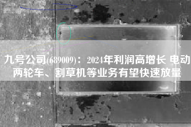 九号公司(689009)：2024年利润高增长 电动两轮车、割草机等业务有望快速放量
