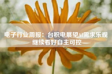 电子行业周报：台积电展望AI需求乐观 继续看好自主可控