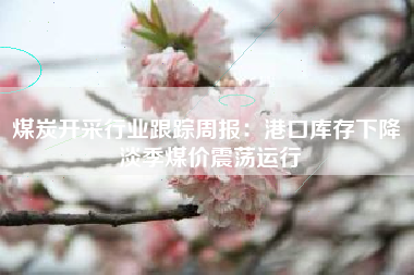煤炭开采行业跟踪周报：港口库存下降 淡季煤价震荡运行