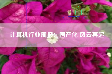 计算机行业周报：国产化 风云再起