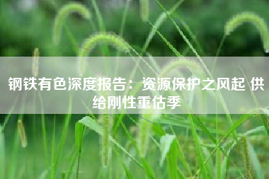 钢铁有色深度报告：资源保护之风起 供给刚性重估季