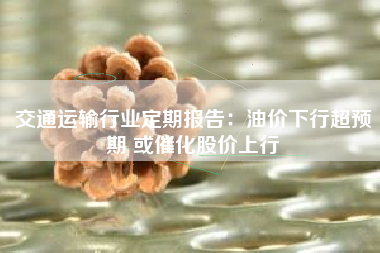 交通运输行业定期报告：油价下行超预期 或催化股价上行