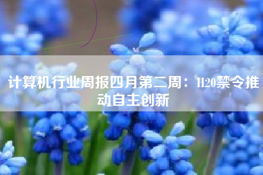计算机行业周报四月第二周：H20禁令推动自主创新