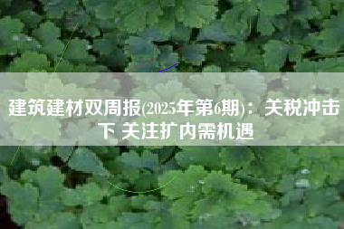 建筑建材双周报(2025年第6期)：关税冲击下 关注扩内需机遇