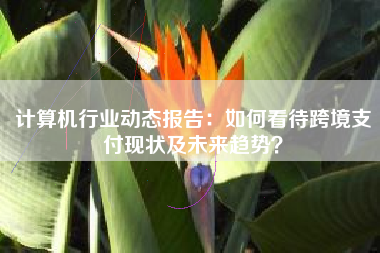 计算机行业动态报告：如何看待跨境支付现状及未来趋势？