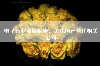 电子行业周度报告：关注国产替代相关公司