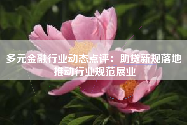 多元金融行业动态点评：助贷新规落地 推动行业规范展业