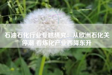 石油石化行业专题研究：从欧洲石化关停潮 看炼化产业西降东升