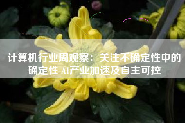 计算机行业周观察：关注不确定性中的确定性 AI产业加速及自主可控