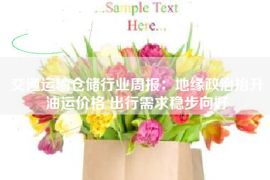 交通运输仓储行业周报：地缘政治抬升油运价格 出行需求稳步向好