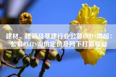 建材、建筑及基建行业公募REITS周报：公募REITS询价定价及网下打新收益