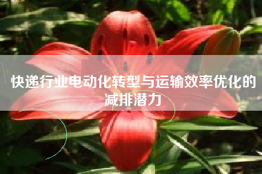 快递行业电动化转型与运输效率优化的减排潜力