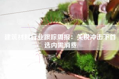 建筑材料行业跟踪周报：关税冲击下首选内需消费