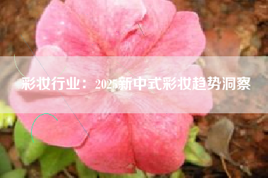 彩妆行业：2025新中式彩妆趋势洞察