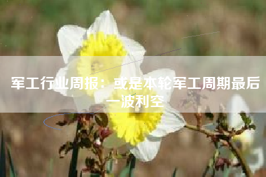 军工行业周报：或是本轮军工周期最后一波利空