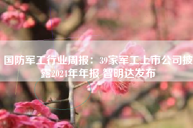 国防军工行业周报：39家军工上市公司披露2024年年报 智明达发布
