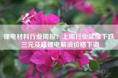 锂电材料行业周报：上周行业延续下跌 三元及铁锂电解液价格下调
