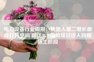 电力设备行业周报：机器人第二增长曲线打开空间 阳江3GW海风项目进入同期施工阶段