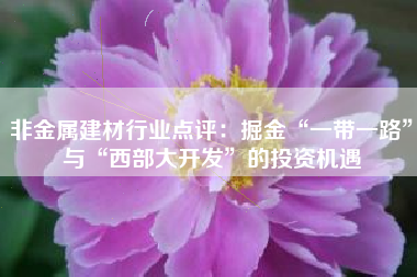 非金属建材行业点评：掘金“一带一路”与“西部大开发”的投资机遇