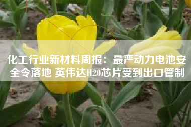 化工行业新材料周报：最严动力电池安全令落地 英伟达H20芯片受到出口管制