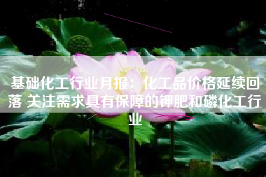 基础化工行业月报：化工品价格延续回落 关注需求具有保障的钾肥和磷化工行业