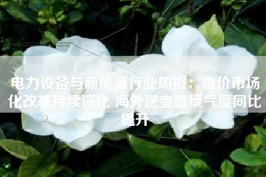电力设备与新能源行业周报：电价市场化改革持续深化 海外逆变器景气度同比提升