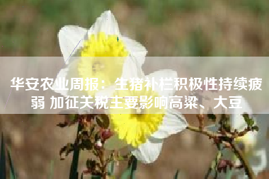 华安农业周报：生猪补栏积极性持续疲弱 加征关税主要影响高粱、大豆