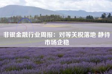 非银金融行业周报：对等关税落地 静待市场企稳