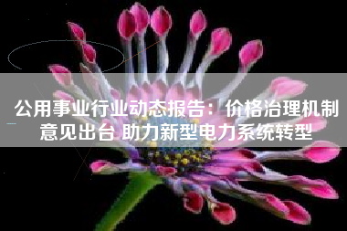 公用事业行业动态报告：价格治理机制意见出台 助力新型电力系统转型