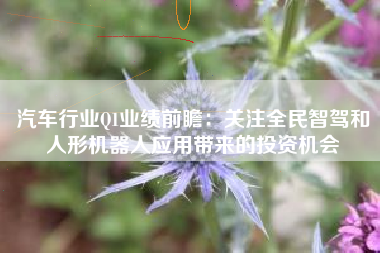 汽车行业Q1业绩前瞻：关注全民智驾和人形机器人应用带来的投资机会