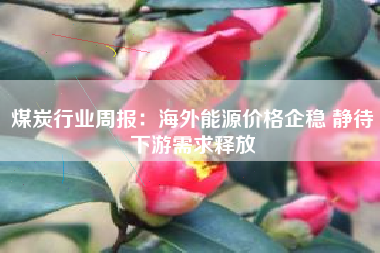 煤炭行业周报：海外能源价格企稳 静待下游需求释放