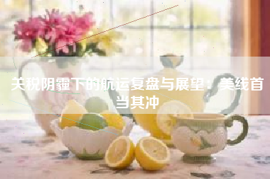 关税阴霾下的航运复盘与展望：美线首当其冲