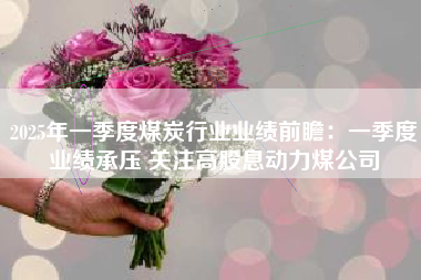 2025年一季度煤炭行业业绩前瞻：一季度业绩承压 关注高股息动力煤公司