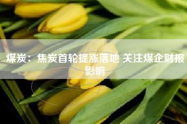 煤炭：焦炭首轮提涨落地 关注煤企财报影响