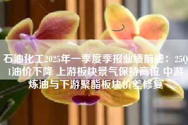 石油化工2025年一季度季报业绩前瞻：25Q1油价下降 上游板块景气保持高位 中游炼油与下游聚酯板块价差修复