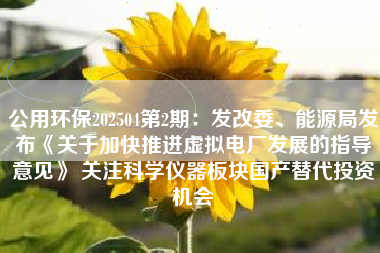 公用环保202504第2期：发改委、能源局发布《关于加快推进虚拟电厂发展的指导意见》 关注科学仪器板块国产替代投资机会