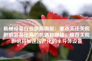 机械设备行业跟踪周报：重点关注关税影响装备出海的机遇和挑战；推荐关税影响将加速国产化的半导体设备