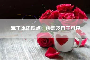 军工本周观点：内需及自主可控