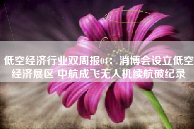 低空经济行业双周报04：消博会设立低空经济展区 中航成飞无人机续航破纪录
