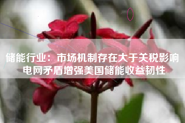 储能行业：市场机制存在大于关税影响 电网矛盾增强美国储能收益韧性