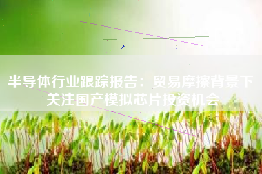半导体行业跟踪报告：贸易摩擦背景下 关注国产模拟芯片投资机会