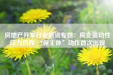 房地产开发行业融资专题：房企流动性压力仍存 “保主体”动作首次出现