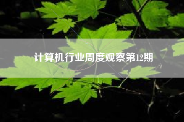 计算机行业周度观察第12期