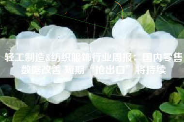 轻工制造&纺织服饰行业周报：国内零售数据改善 短期“抢出口”将持续